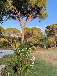 Villas La VILLA : photos des chambres