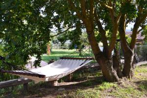 Appartamento Rustico, Wifi, Perugia