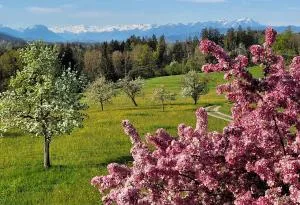 Ferienwohnung Säntisblick - Haggen