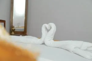 Serene Scene Eco Holiday Resort - 迪加纳