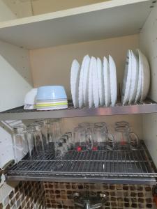 Emerald Haven C7-13 - A