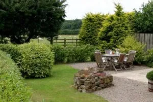 Badger - Nether Silton