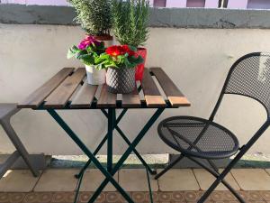 Apartment Settembrini - Centrale, Porta Venezia