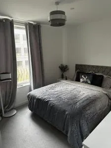 Barking Riverside - 科尔切斯特