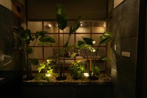 Arvita Villa with Swimming Pool