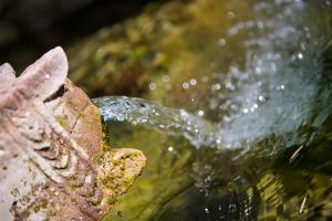 Villas Domaine du chemin Royal : photos des chambres