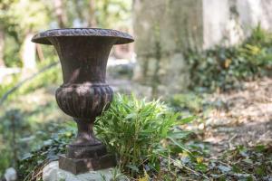 Villas Domaine du chemin Royal : photos des chambres