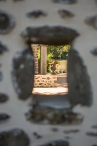 Villas Domaine du chemin Royal : photos des chambres