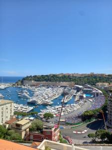 Amazing view - Monaco