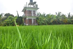 Lotus Leaf Resort