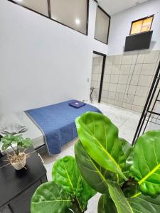 Global House Apartamento 1 Alajuela Centro