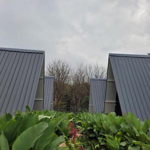 Alaya stays Inara Retreat Pet-Friendly 1-Cottage with a Mezzanine Loft, Shared Pool, and Garden