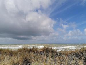 Appartements Appartement cosy vue mer a Merlimont : photos des chambres