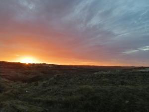 Appartements Appartement cosy vue mer a Merlimont : photos des chambres