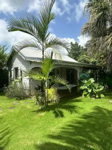 L Anoli - Charmante Case Créole tout confort - Roussel