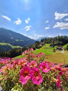 Ferienwohnung Angelina