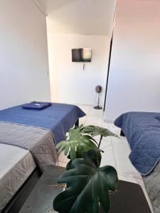 Global House Apartamento 4 Alajuela centro