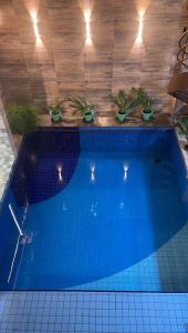 Elistour locação COP 30