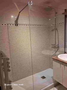 2P 4* 58m2 face au Lac