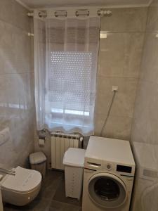 Apartman CESTICA