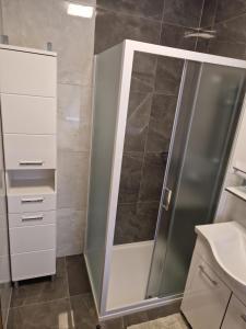 Apartman CESTICA