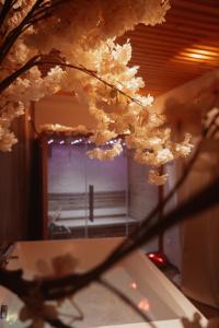 Appartements Capsule Thailande I Sauna I Balneo I Console I jeux en bois I Cinema I cour interieure : photos des chambres