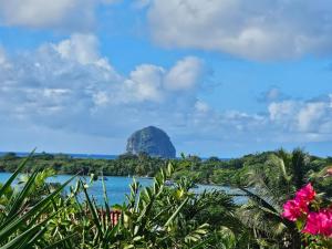 Villa Bleue, piscine, vue mer