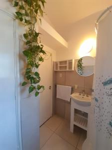 La Casa de los Gisitos