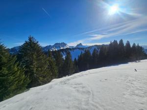 Appartements Chalet des Cerfs : photos des chambres