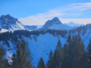 Appartements Chalet des Cerfs : photos des chambres