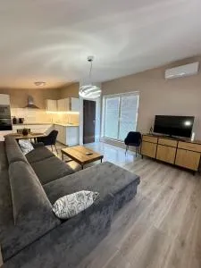 Samorin Loft with large terrace - Kyselica