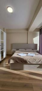 Bakuriani oasis WINDOW DEVELOPMENT 1