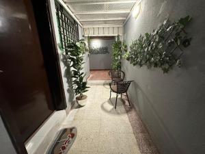 استديو بالعقيق بجلسة خارجية