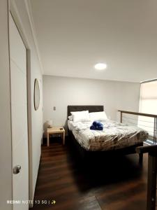 Loft en el corazón de Bellas Artes