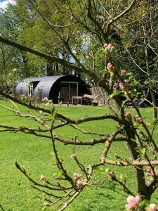 Tinyhouse in Bakkeveen