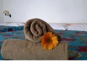 Penthouse with Amazing Sea view & AC - Pondicherry - Kottakupam