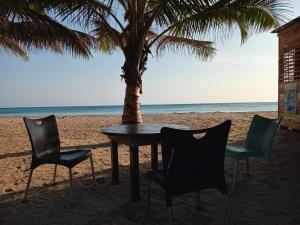 Ceylon Antheia Beach camping site