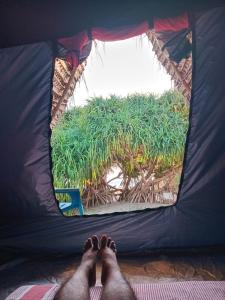 Ceylon Antheia Beach camping site
