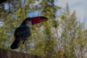 Cabaña las cañitas