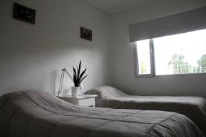 Casa Amonite Hostel Boutique