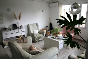 Casa Amonite Hostel Boutique