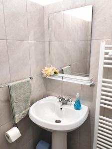 Central Apartments Madona