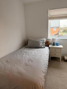 Modern and Stylish New home in Chichester