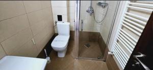 Milan Apartament-in the center of Târgu Mureș