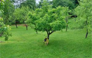 Cozy Apartment In Srb With Wifi