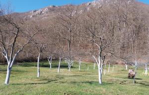 Cozy Apartment In Srb With Wifi