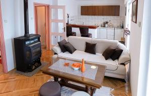 Cozy Apartment In Srb With Wifi
