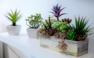 Beach Side Apartment