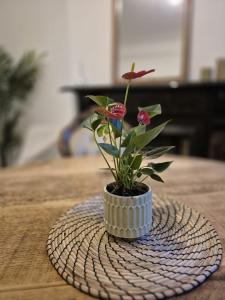 Beautiful 5-Bedroom home with Free Parking