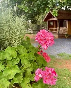 Glamping Panorama - Capela do Alto